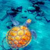 Beautiful Sea Turtle paint by numbers