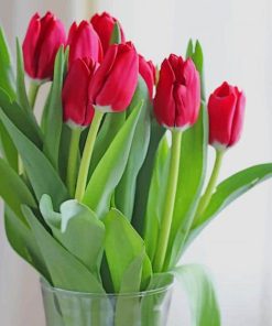 Beautiful Vase With Red Tulip paint by numbers