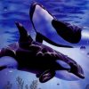 Beautiful Whales paint by number