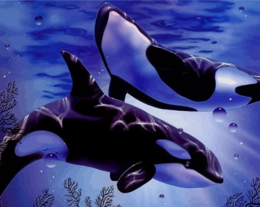 Beautiful Whales paint by number