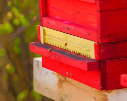 Bees In A Red Box paint by numbers