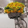 Bicycle And Sunflowers paint By numbers