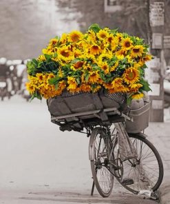 Bicycle And Sunflowers paint By numbers