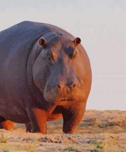 Big Hippopotamus paint by numbers