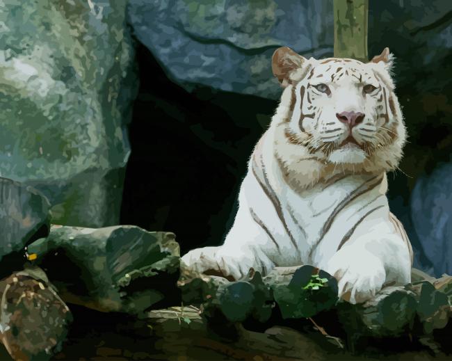 Big White Tiger paint by number