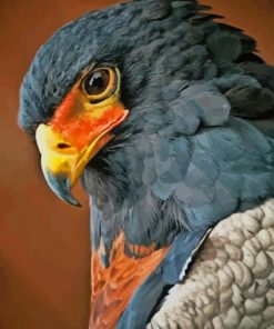 Birds Of Prey Up Close paint by numbers