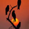 Black Birds At Sunset paint by numbers