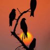 black birds at sunset paint by number