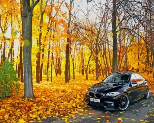 Black Bmw In Forest paint by number