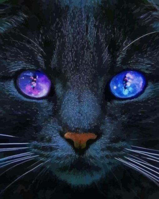 Black Cat With Space Eyes paint by number