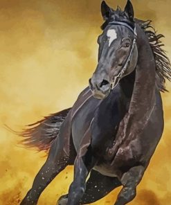 Black Horse Running paint by numbers