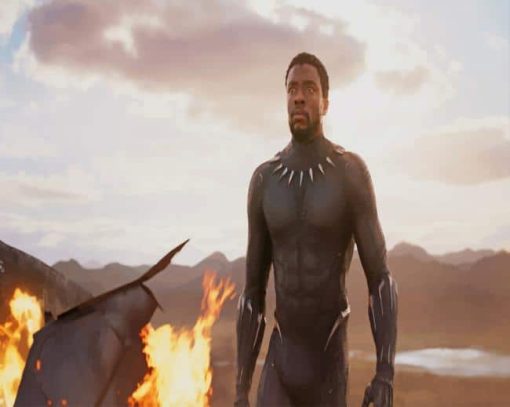 Black Panther Chadwick paint by number