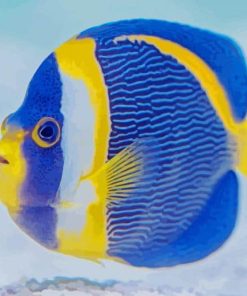 Blue And Yellow Aquarium paint by number Fish