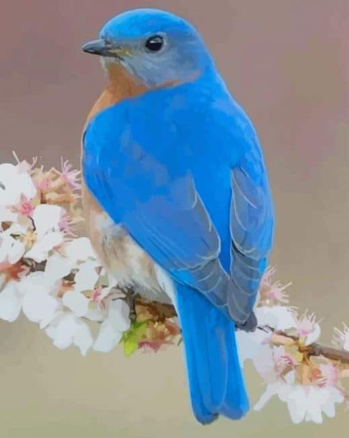 Blue Bird paint by numbers