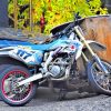 Blue Dirt Bike paint by numbers