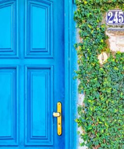 Blue Door Green Wall paint by numbers