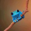 Blue Frog paint by numbers