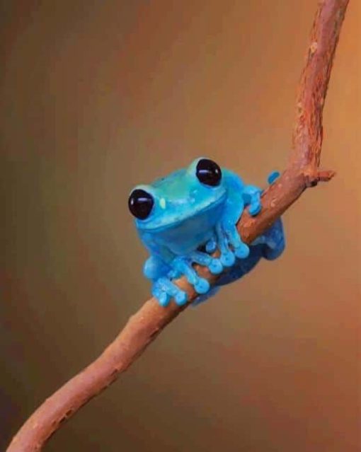 Blue Frog paint by numbers