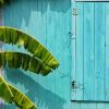 Blue House And Banana Tree paint by numbers