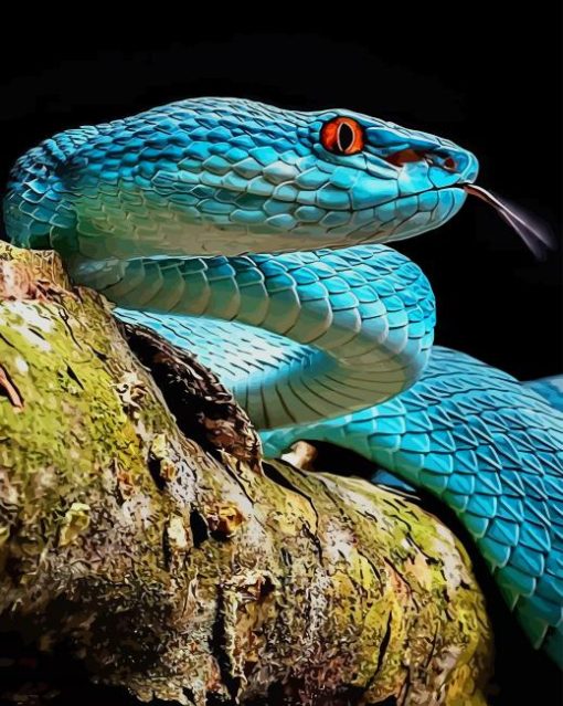 Blue Viper Snake paint by numbers