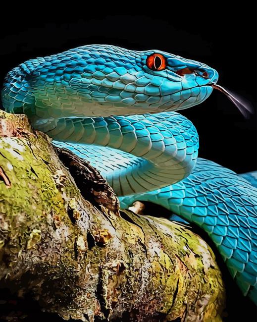 Blue Viper Snake paint by numbers