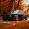 Black Classic BMW paint by numbers