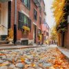 Boston In Autumn paint by numbers
