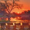 Botswana Safari Sunset paint by numbers