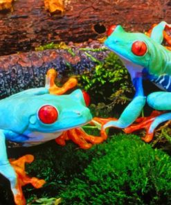 Light Blue Colored Frogs paint by numbers