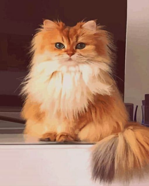 British Longhair Cat Breed paint by numbers