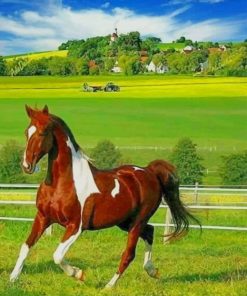 Brown and White Horse in The Farm paint by numbers