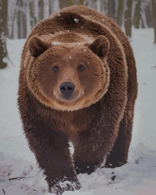 Brown Bear In Snow paint by numbers