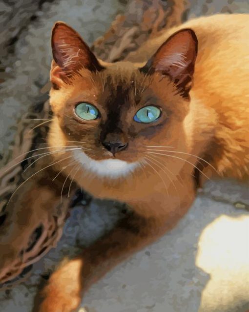 Brown Cat With Blue Eyes paint by numbers