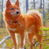 Beautiful Orange Dog paint by numbers
