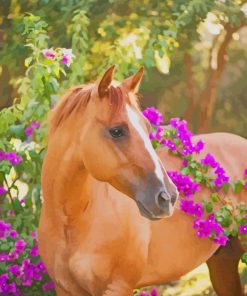 Brown Horse with Flowers paint by numbers