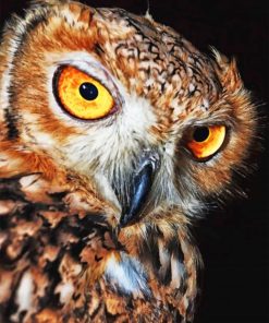 brown owl close up animal painting by numbers