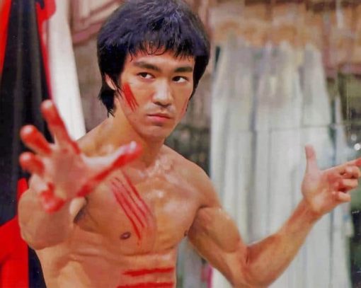 Bruce Lee Paint By Numbers