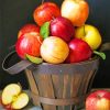 Bucket Of Apples paint by numbers