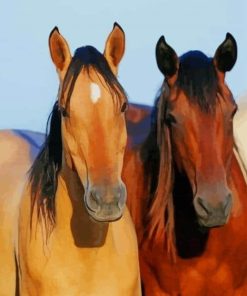 Buckskin Horse And Brown Horse paint by numbers