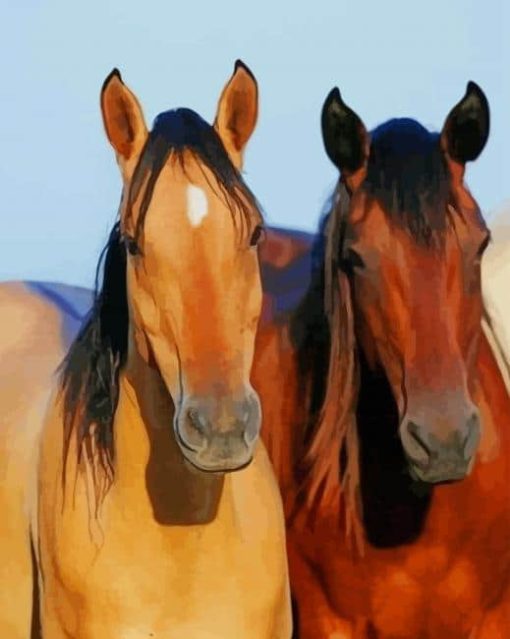 Buckskin Horse And Brown Horse paint by numbers