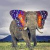 Butterfly Ears Elephant paint by numbers