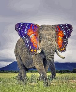 Butterfly Ears Elephant paint by numbers