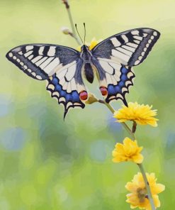 Butterfly In Flowers paint by numbers