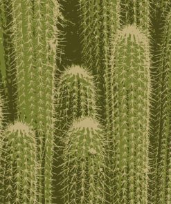 Cactus Plant paint by numbers