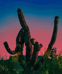 Cactus Silhouette paint by numbers