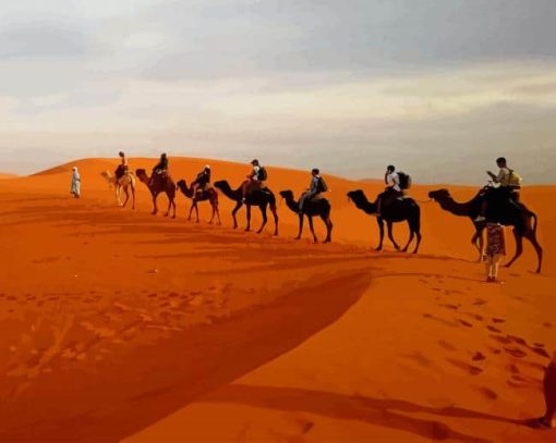 Camels In Caravan Desert paint by number