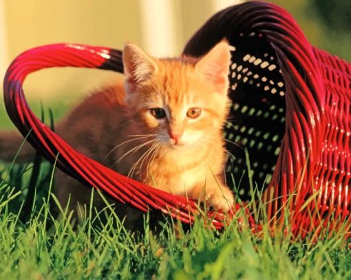 Cat In a Red Basket paint by numbers
