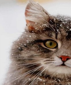 Cute Grey Cat paint by numbers