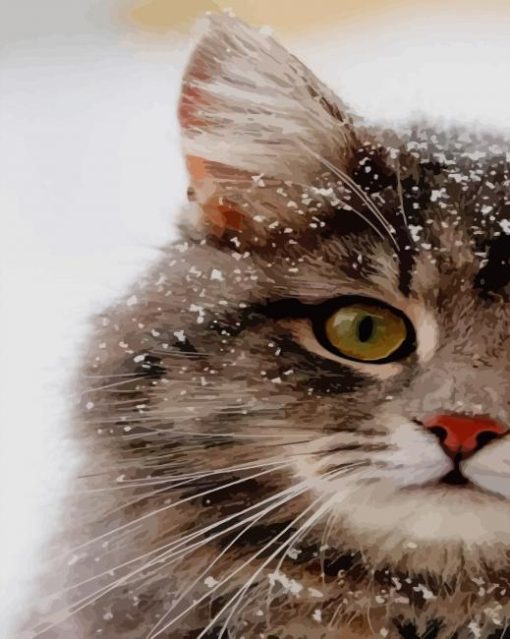 Cute Grey Cat paint by numbers