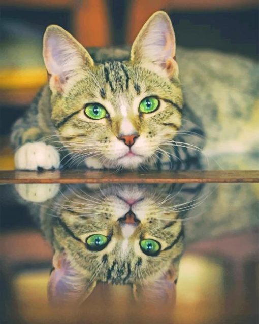 Green Eyed Cat Reflection paint by numbers